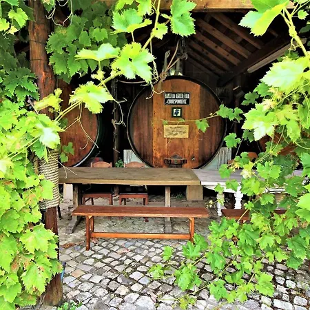 Ana Margarida By Nature Semesterbostad Ericeira